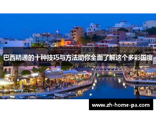 巴西精通的十种技巧与方法助你全面了解这个多彩国度
