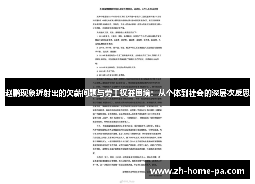 赵鹏现象折射出的欠薪问题与劳工权益困境：从个体到社会的深层次反思