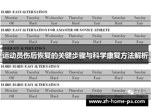 运动员伤后恢复的关键步骤与科学康复方法解析