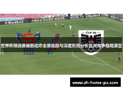世界杯预选赛最新动态全景追踪与深度形势分析各洲竞争格局演变